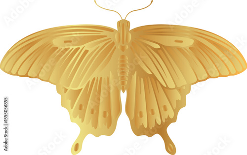 vector butterfly drawings. 3d illustration images.