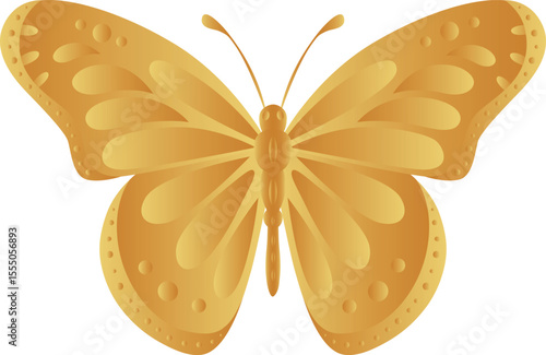 vector butterfly drawings. 3d illustration images.