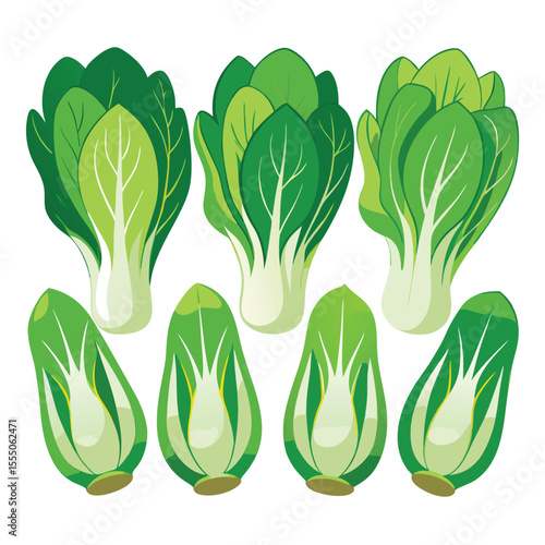 six bok choy vegetable separately set  isolated  on white background