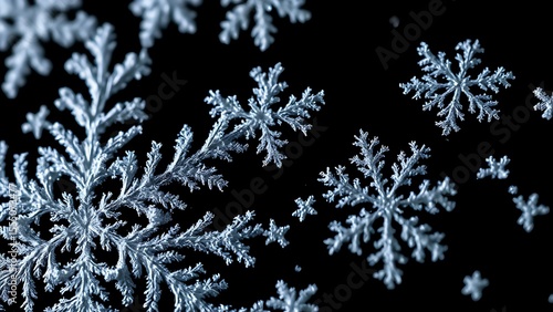 Intricate frostwork ice crystals on a black background, revealing delicate and ethereal patterns.