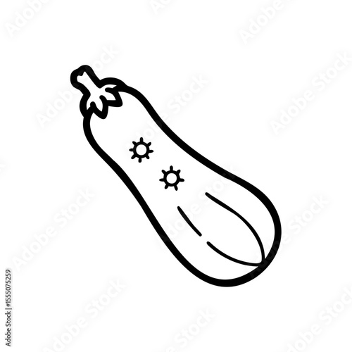 Handdrawn zucchini with two sunburst details on a background vegetable food