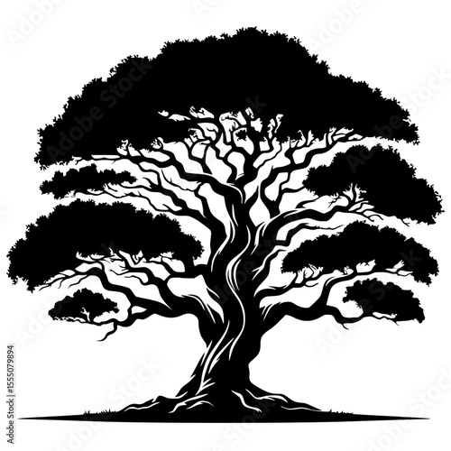 Bonsai tree silhouette