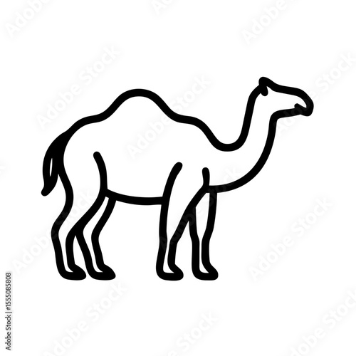 camel isolated on white
