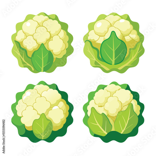six cauliflower vegetable separately set  isolated  on white background