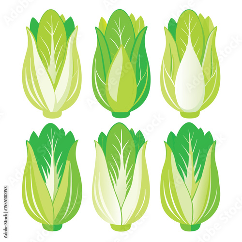 six chicory vegetable separately set  isolated  on white background