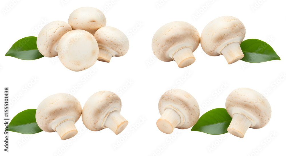 Fototapeta premium Fresh white mushrooms arranged with green leaves on a clean background, ideal for culinary use and food photography