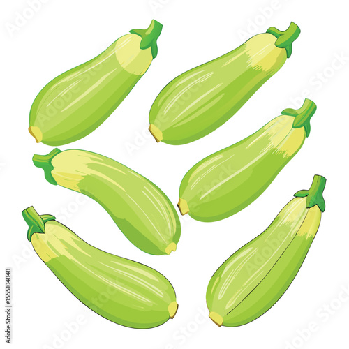 six courgette vegetable separately set  isolated  on white background
