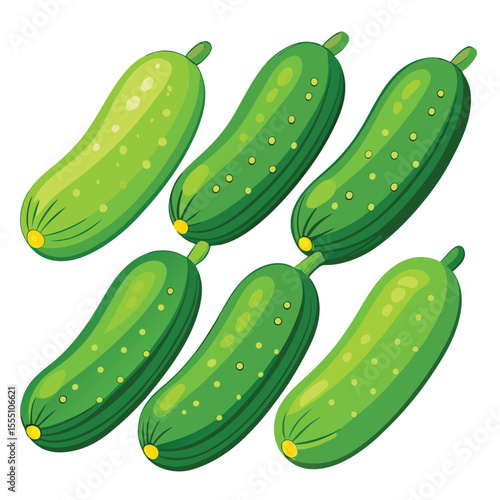 six cucumber vegetable separately set  isolated  on white background