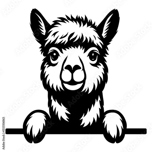 A curious, playful, stylized alpaca peers over a line, rendered in bold black and white. It's an illustration, minimalist and charming.