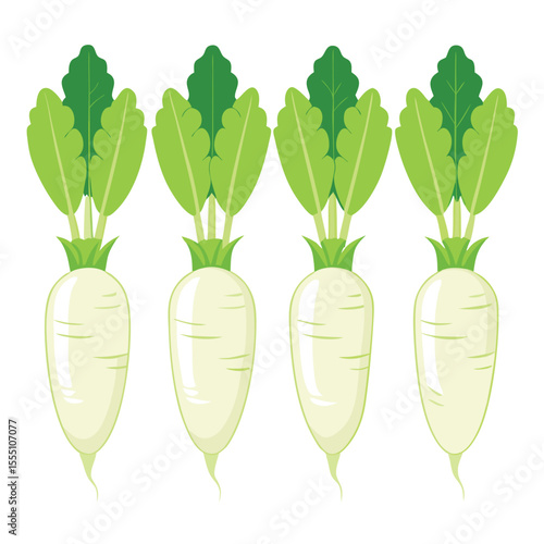 six daikon radis vegetable separately set  isolated  on white background