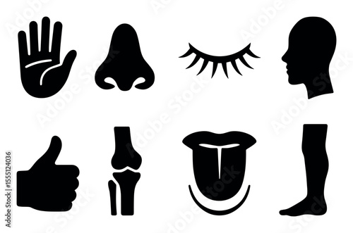 Human body silhouette icon set: senses, anatomy, parts. bold silhouette collection