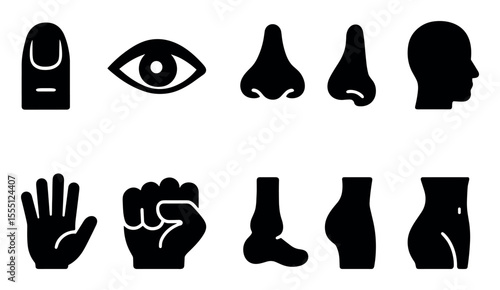 Body parts silhouette icon set. anatomy, human features in simple design