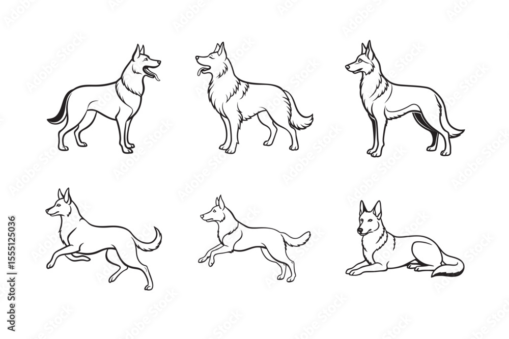Fototapeta premium line art of Belgian dog pet set bundle on the white background