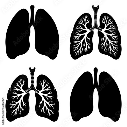 Four anatomical lungs with branching veins