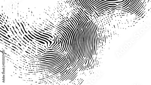  Vector white and black fingerprint texture. Black fingerprint on white transparent background.	