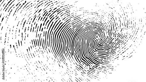  Vector white and black fingerprint texture. Black fingerprint on white transparent background.	