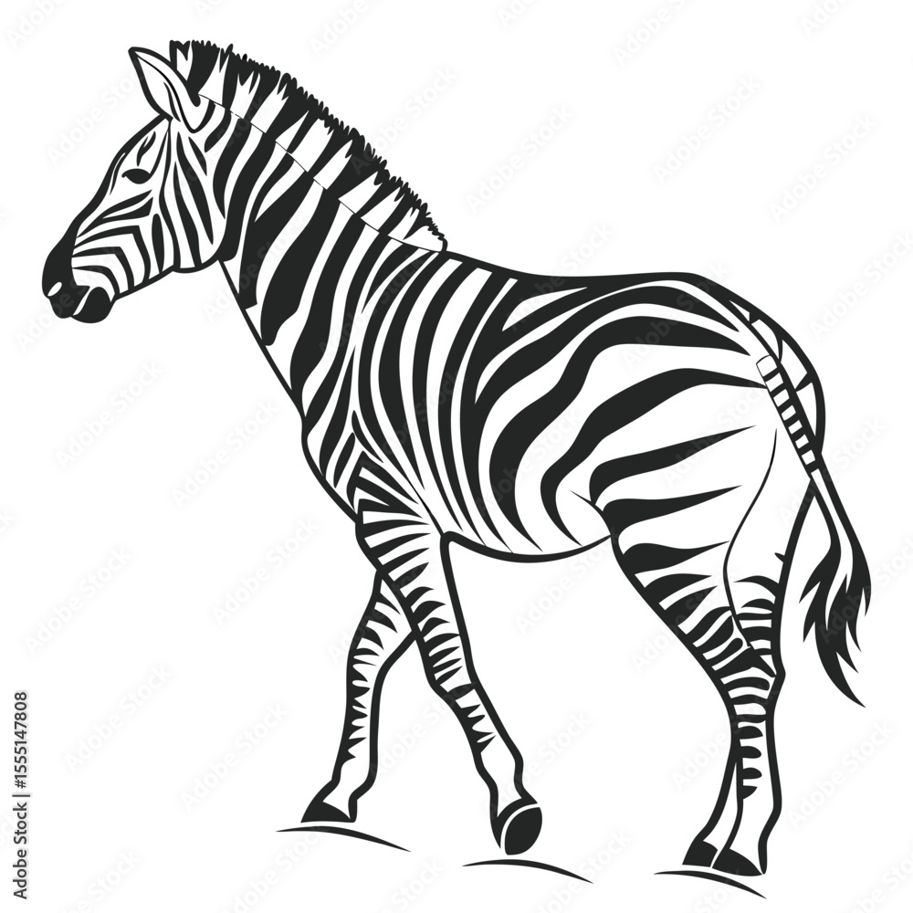 Obraz premium silhouette zebra on white background