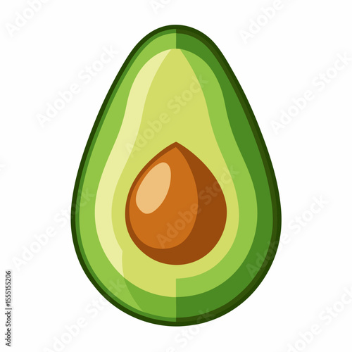 vector illustration of an avocado