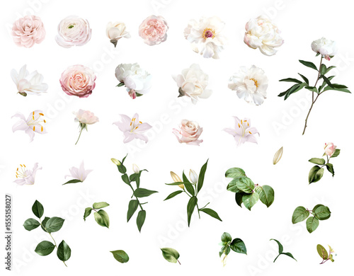 Pink ranunculus, white peony, blush pink rose, magnolia, white lily, camellia, floral buds and greenery vector design wedding spring set. Floral summer watercolor. Elements are isolated and editable