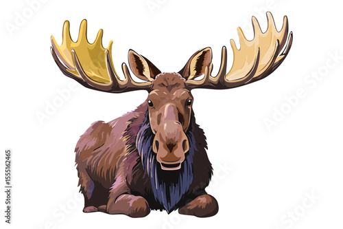 Depiction of moose with bold antlers, Moose buck or elk full body vector illustration, Bull moose lying on the ground (Alces alces)