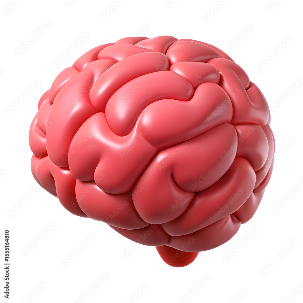 3D Human Brain Isolated on Pure White Background
3D Human Brain Isolated on Pure White Background