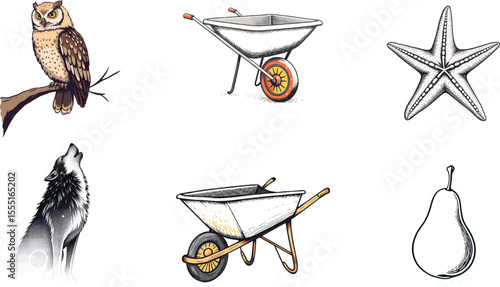 A compilation of an owl on a branch, wolf, wheelbarrows, a starfish and a pear on black background illustration vector set collection
