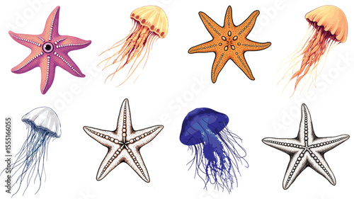 Illustration showing multiple starfish and jellyfish in various colors against black background illustration vector set collection