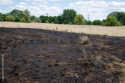 Sticker Scorched grass at Rammey Marsh, Enfield, London, after wildfires