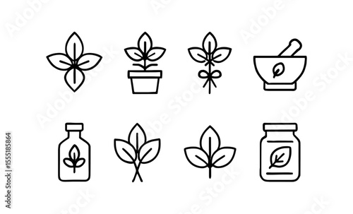 Herbal icons set featuring leaves, plants, and mortar symbols for natural remedies design