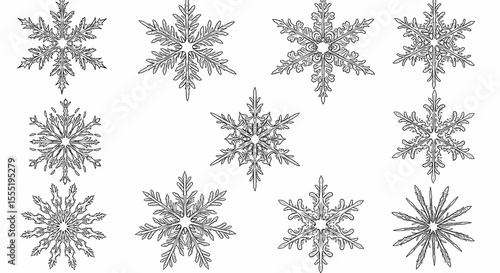 Collection of Detailed Snowflakes in Black and White Illustrations for Winter and Holiday Design
