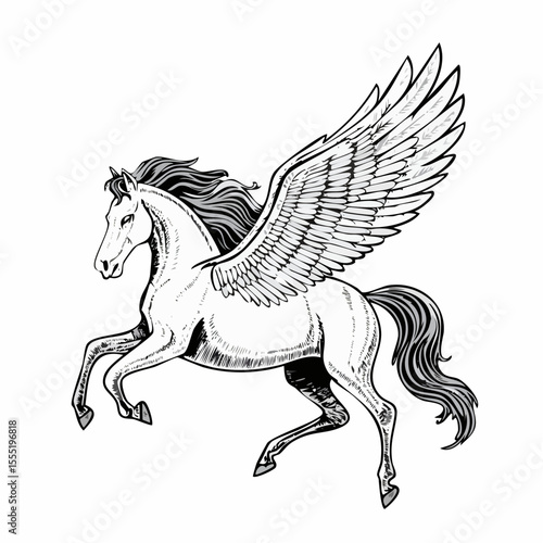 A Majestic Winged Horse Pegasus In Flight Image vector isolated on white background.