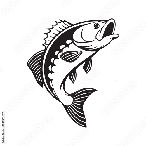 basa fish vector art illustration