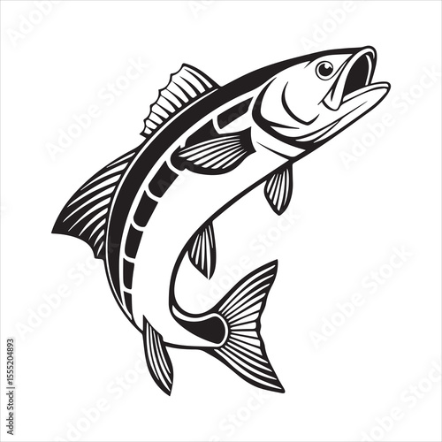 basa fish vector art illustration