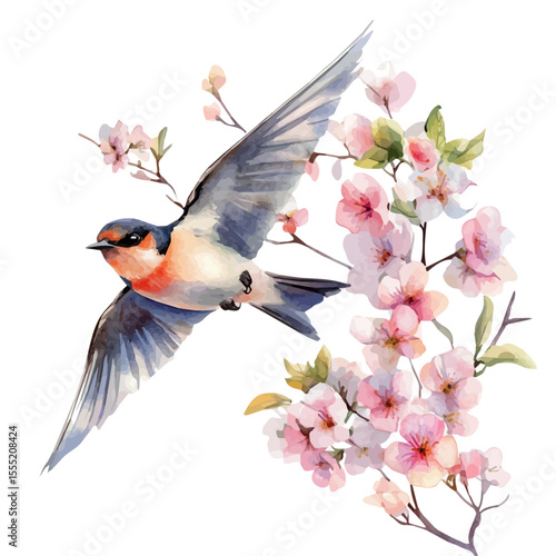Swallow Flying Spring Blossoms, watercolor illustration vector, isolated on a white background.