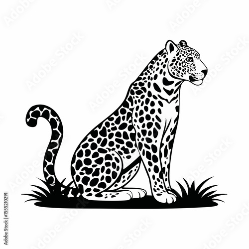 Jaguar Image vector. Spotted Jaguar Sitting Vector Image on white background.