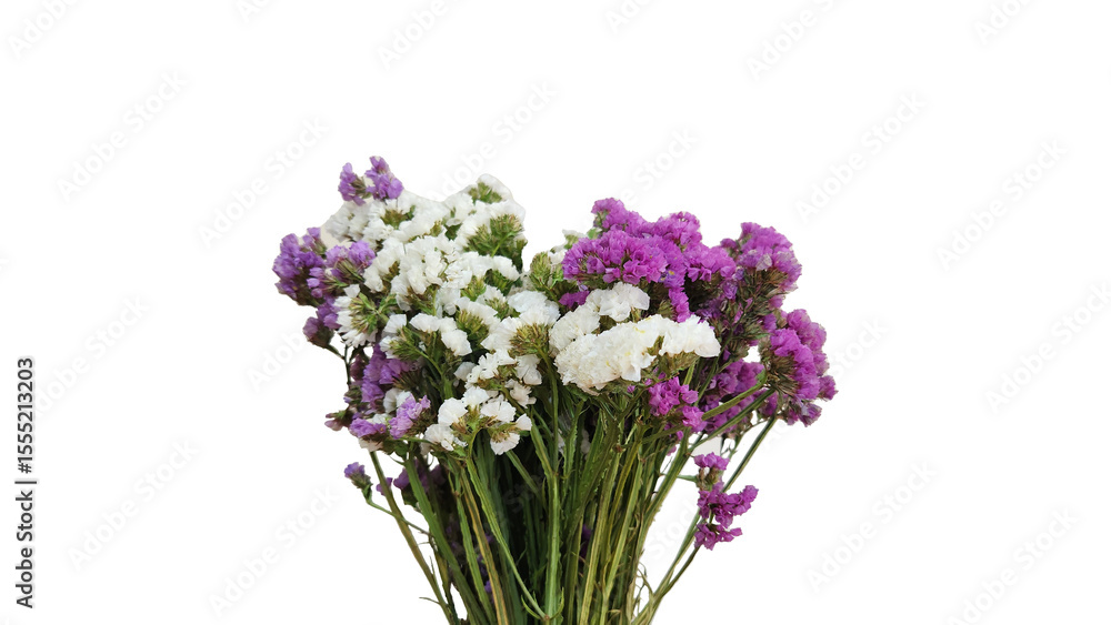 Obraz premium Limonium sinuatum, known as perennial sea-lavender, appears isolated on a white background, showcasing its papery petals and branching stems in delicate, pastel-colored blooms.