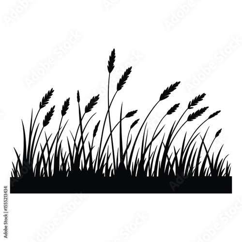 Hand-Drawn Prairie Grass Silhouette, Vector, Illustration, Line Art, Outline, Icon, White Background.