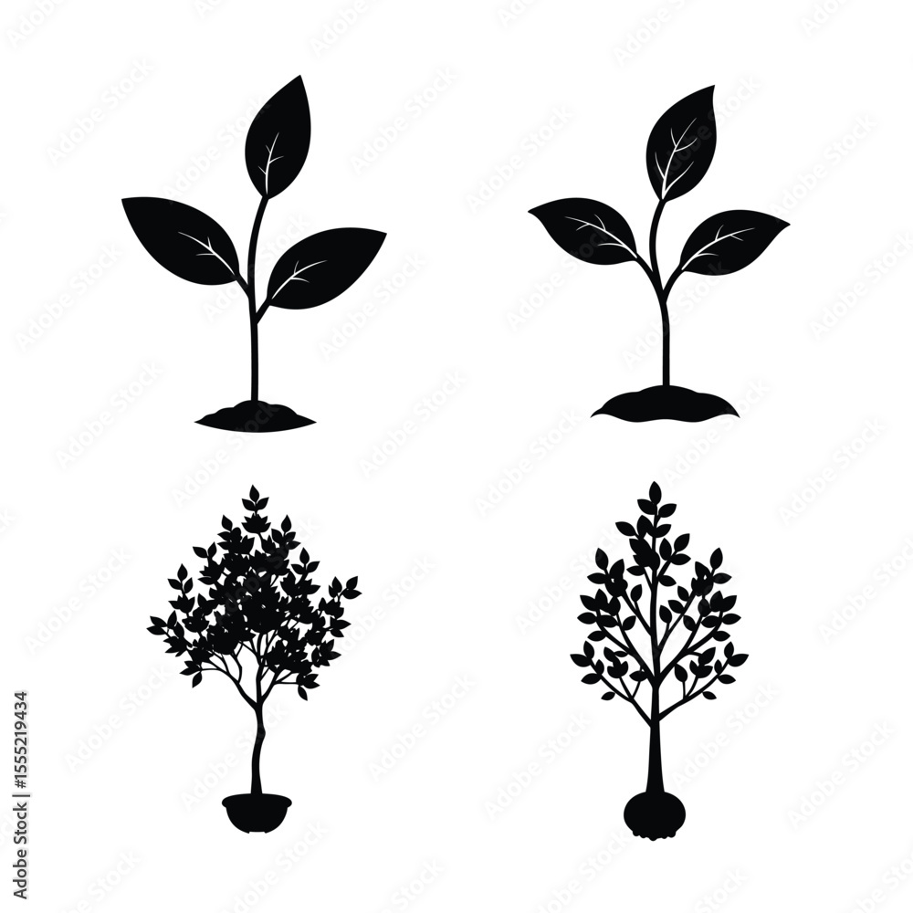 Fototapeta premium Tea plant silhouette bundle collection