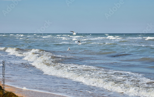 Fototapeta Naklejka Na Ścianę i Meble -  Waves Crashing on Baltic Sea Coast