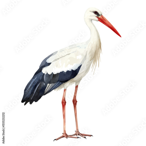 Stork, watercolor clipart vector, isolated on a white background.