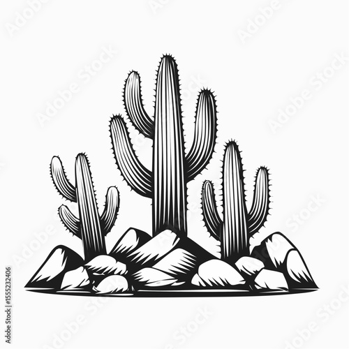 a group of cactus plants on the rocks image vector isolated on white background
