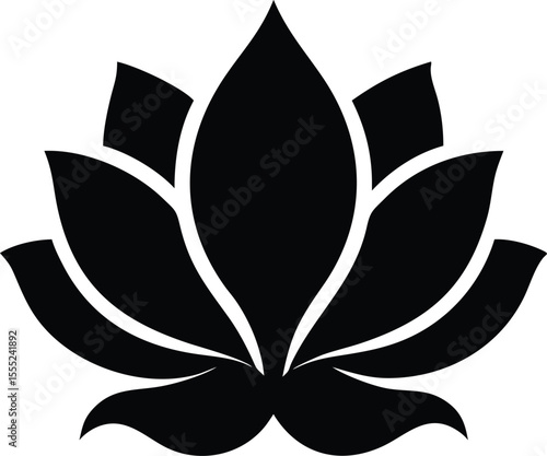 Beautiful magnolia bloom with delicate curled petal edges a single flower isolated on white background isolated on transparent background