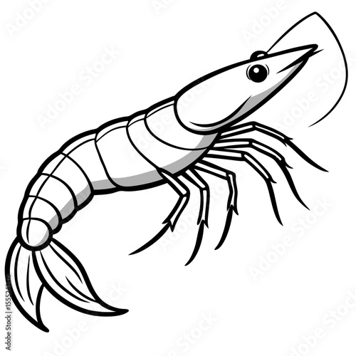 shrimp vector illustration