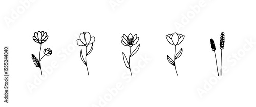 Open Blooms Collection. A refined set of open floral illustrations with varied petal designs, perfect for light branding and botanical-themed designs.