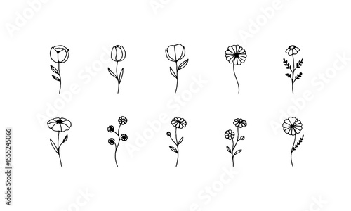 Light Bloom Collection. A softly illustrated group of floral elements with light lines and airy structure, perfect for delicate textile or brand visuals.