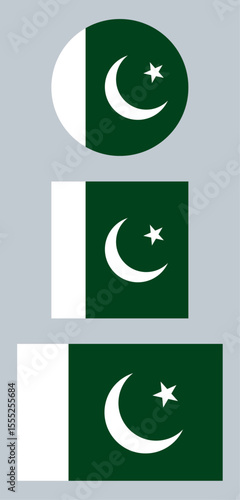 Pakistan Flag – Vector Illustration on Gray Background