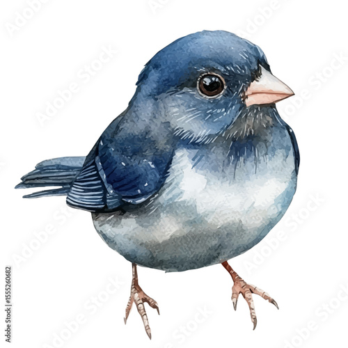 Sparrow Close Up, watercolor painting vector, isolated on a white background.