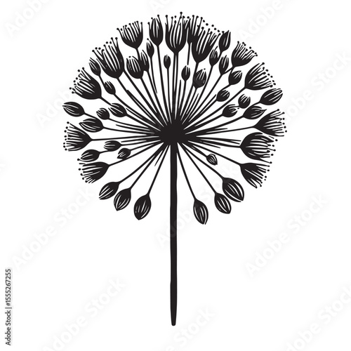 Allium Flower SVG