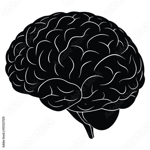 Black and white illustration of a human brain with white lines depicting the brain's surface