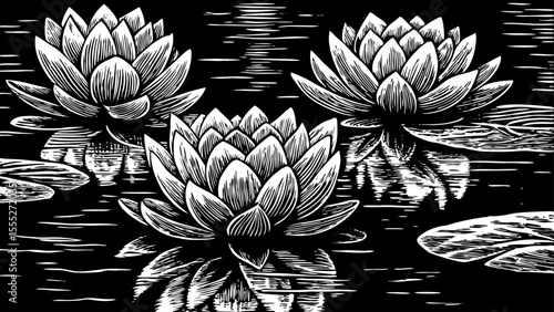 lotus flower floating on water with symmetrical petals, a black and white sketch vector hand drawn